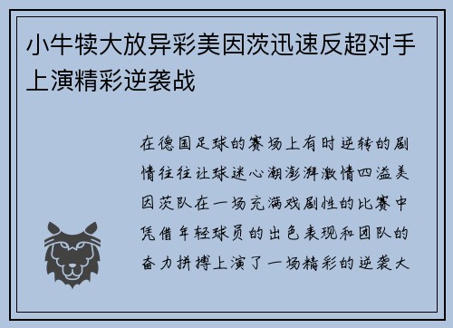 小牛犊大放异彩美因茨迅速反超对手上演精彩逆袭战