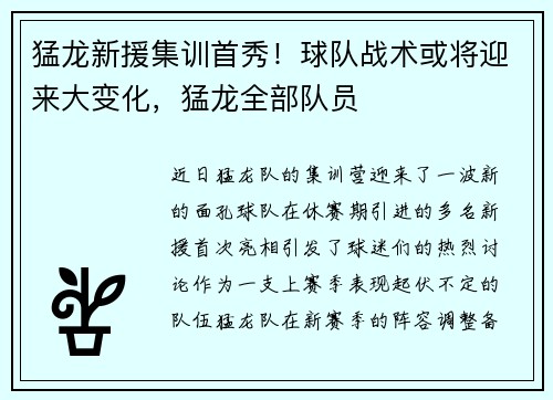 猛龙新援集训首秀！球队战术或将迎来大变化，猛龙全部队员